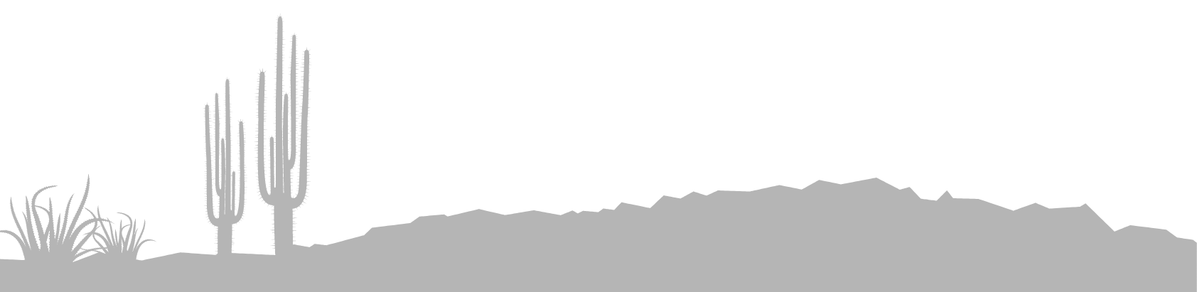 Phoenix Swim Spas + Hot Tubs